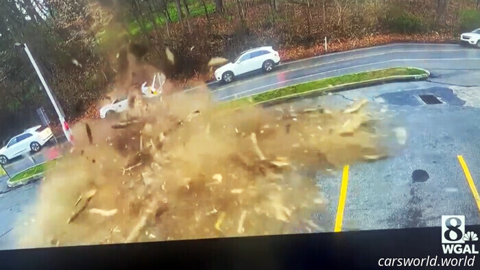 Un Árbol Enorme Aplasta El SUV Ford Como Una Lata, Pero El Conductor Escapa | Carscoops